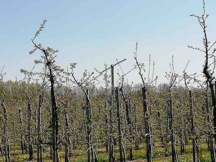 Real frost protection 3