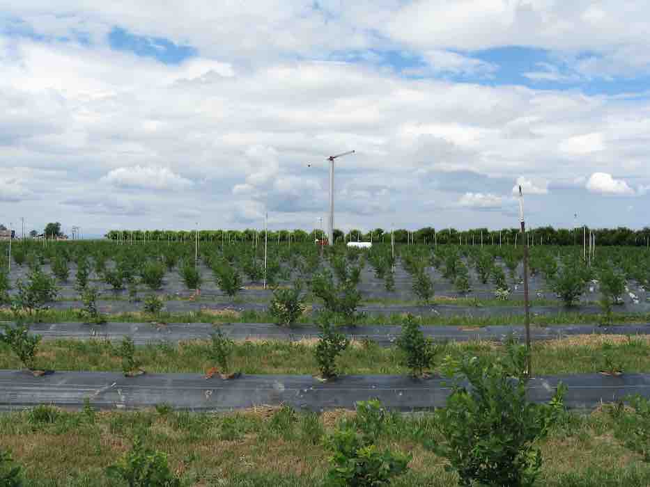 Protect your crop 3