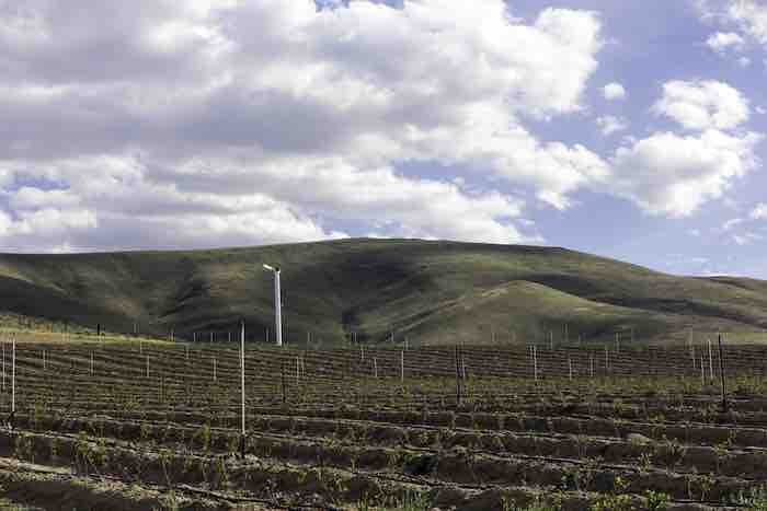 Protect your crop 5
