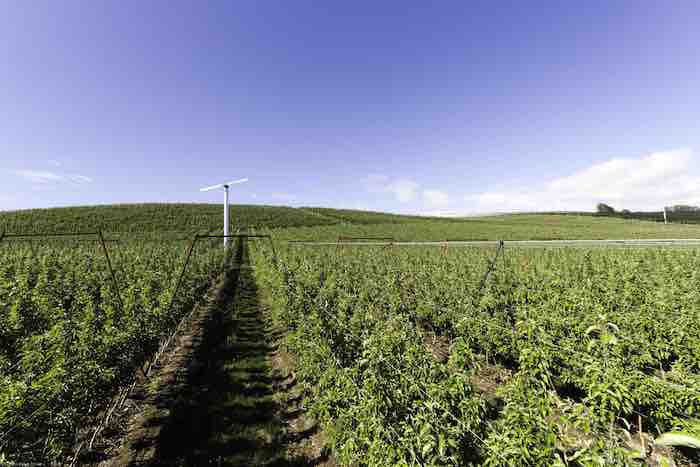 Protect your crop 7