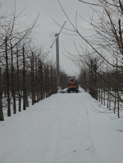 Real frost protection 8